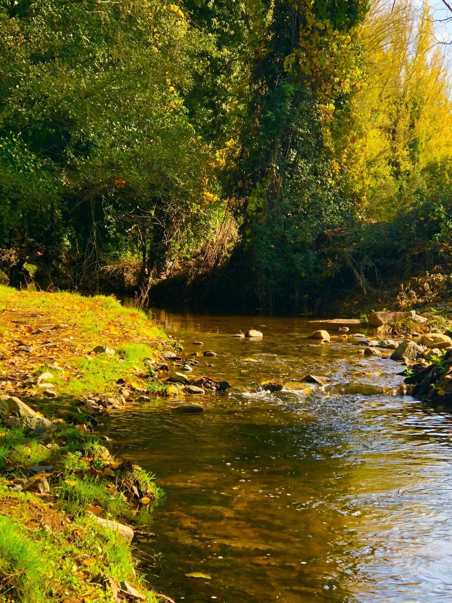 La Fuente Fuenteheridos